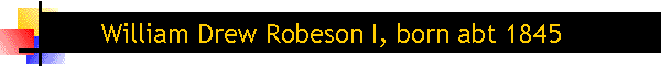 William Drew Robeson I, born abt 1845