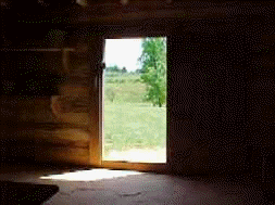 View of the plantation from the kitchen cabin door.